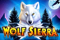 Wolf Sierra